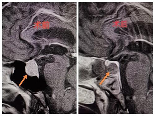 微信图片_20210810154547.jpg 微信图片_20210810154547.jpg