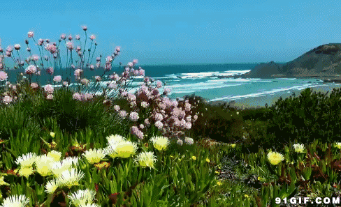 你在哪里？文/飞歌