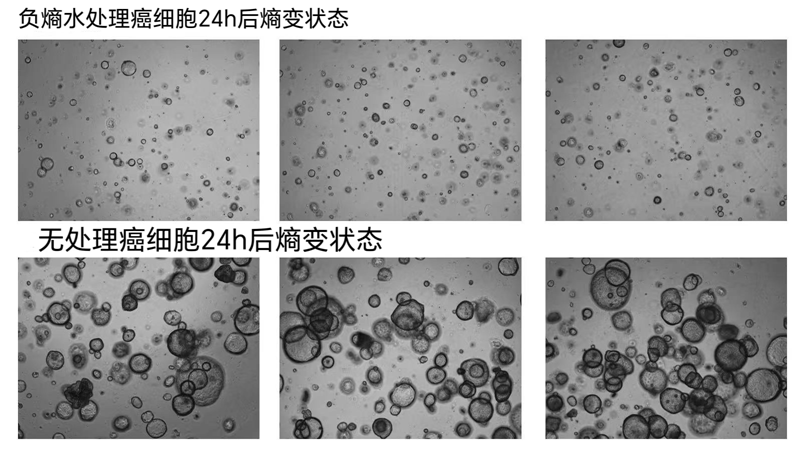 图片1(1).png