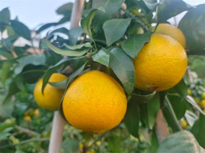 微信图片_20261025101930_3_27.jpg